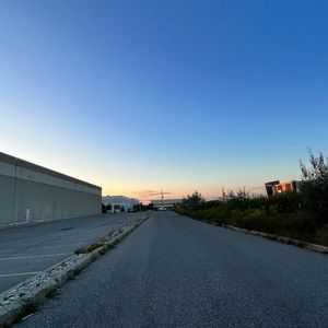 Meet your Posher, Hazel